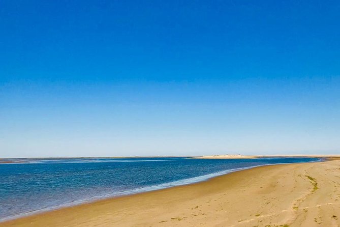 Private Catamaran Boat Tour - Ria Formosa - Accessibility and Transportation