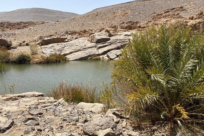 Private Circuit in Tamanrasset, the Hoggar and the Assekrem for Several Days - Pickup and Meeting Information