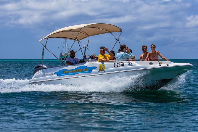 Private Cruise Along Aruba Coastline With Snorkeling - Exploring the Aruba Coastline