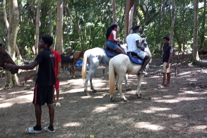 Private & Customize Tour to Martha Brae Rafting and Horseback Riding N Swim - Tour Details