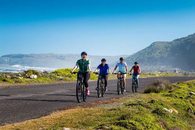 Private Cycling Tour to Cape Point From Cape Town - Tour Logistics