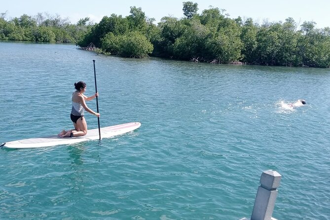 Private Day Sail - South Coast of Puerto Rico - Paddleboarding Opportunities