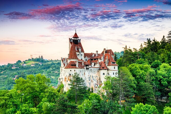 Private Day Tour in Transylvania, Peles and Bran Castles From Brasov - Peles Castle Entrance Options