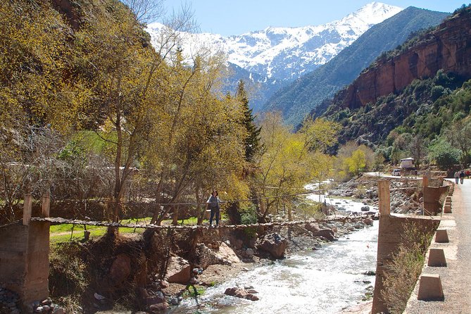 Private Day Trip From Marrakech to Ourika Valley Waterfalls in (All Inclusive) - Highlights of the Ourika Valley