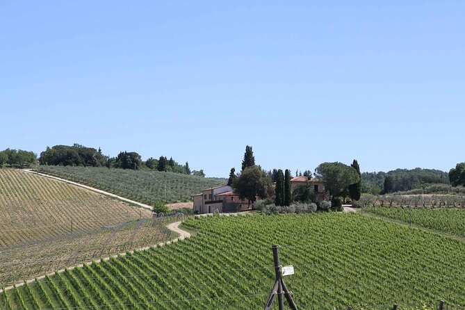 Private Daytrip to Siena & Chianti Wine Country, With Wine Tasting From Florence - Meeting and Pickup Details