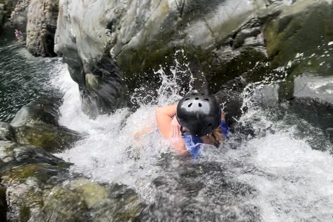 Private - El Yunque Rainforest Tour - Health and Safety Requirements