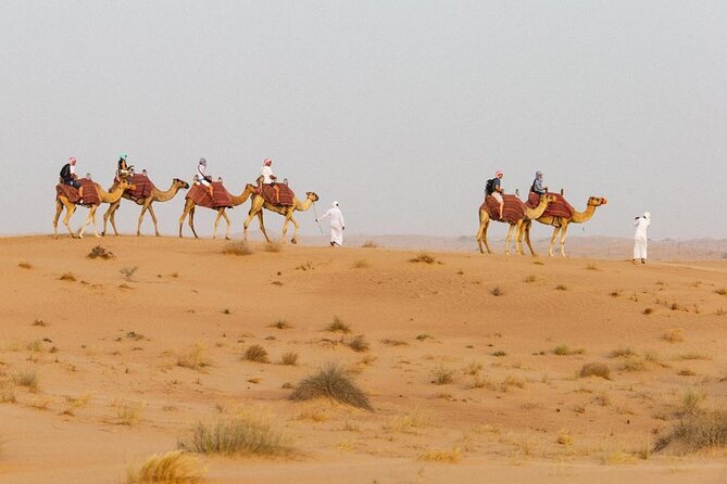 Private Evening Desert Safari BBQ Dinner & Camel Ride & Live Show - Delectable Menu Details