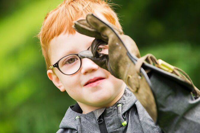 Private Family Bird of Prey Experience in Carlisle - Significance of Falconry