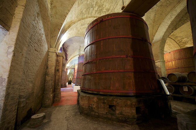 Private Food and Wine Tour in the Cellar With Tastings - Starter Offerings