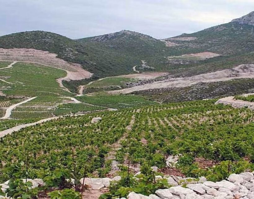 Private Full - Day Tour: Wine Tasting Tour to Peljesac - Itinerary Highlights