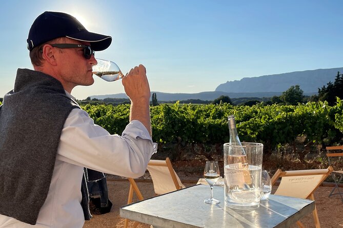 Private Full Day Wine Tour in Provence - Must-Do for Wine Fans