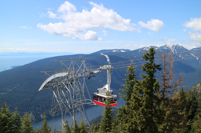 Private Grouse Mountain and Capilano Park Tour in Vancouver - Exploring Capilano Suspension Bridge Park