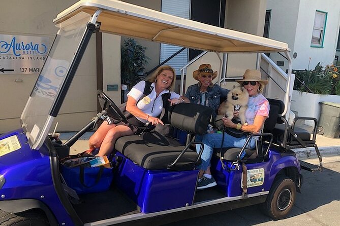 Private Guided Golf Cart Tour of Avalon - Inclusions and Logistics