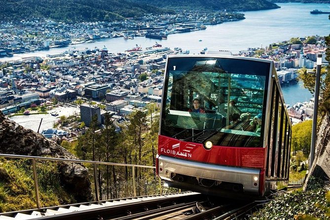 Private Guided Tour - Bergen City Sightseeing - Top Attractions - Itinerary Highlights