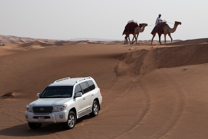 Private Half-Day Adventure in Dubai Desert With Dune Bashing - Included Amenities