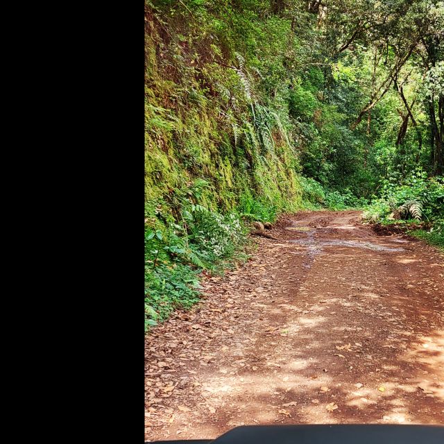 Private Halfday & Eucalyptus Forest Offroad - Highlights of the Tour