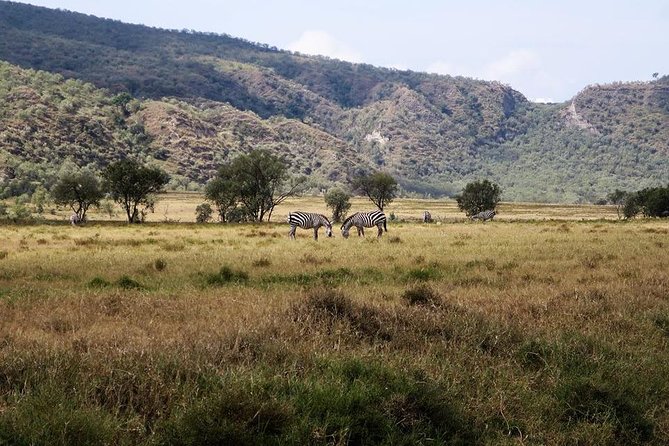 Private Hiking Day Trip to Mt. Longonot From Nairobi - Hiking to the Crater Rim