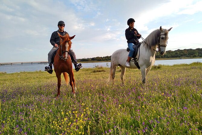 Private Horse Ride in Madrid Natural Park Reserve - Inclusions and Amenities