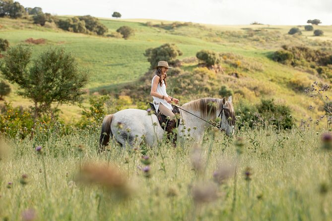 Private Horse Riding Adventure in Tbilisi - Whats Included in the Package