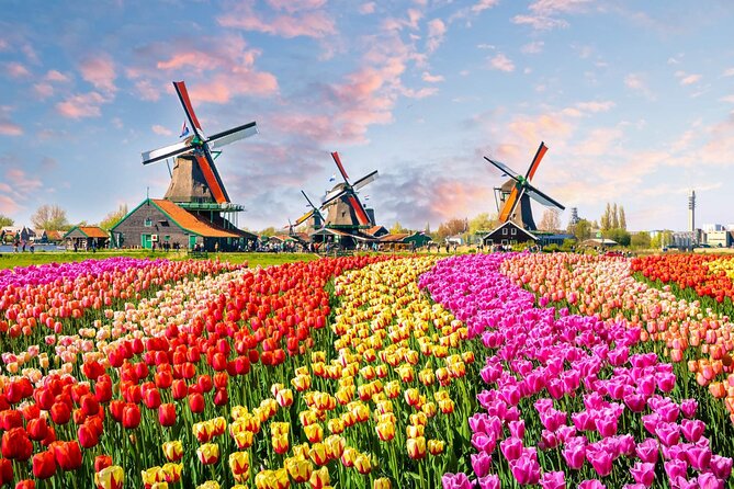 Private Keukenhof Tulip Fields Tour From Amsterdam - Tour Highlights