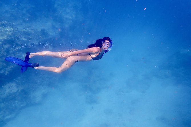 Private Looe Key Snorkel From Big Pine Key - Inclusions