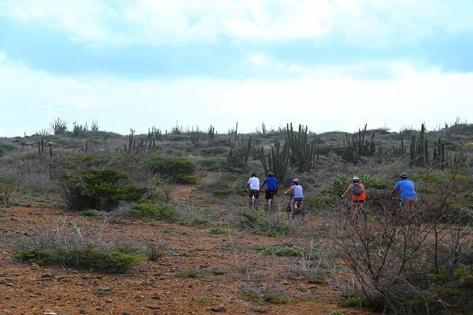 Private Mountain Bike Tour in Aruba - Meeting and Pickup