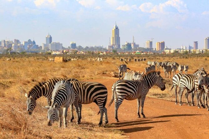 Private Nairobi National Park Day Tour - Confirmation and Accessibility