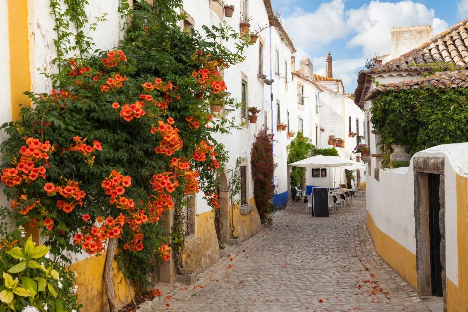 Private Obidos, Nazare, Alcobaca and Mafra Full Day Tour - Itinerary Details