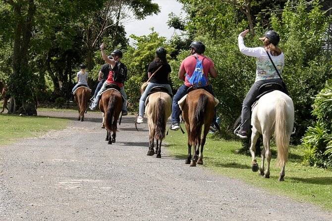 Private Ranch Horseback Tour in Carolina, Puerto Rico - Restrictions and Requirements