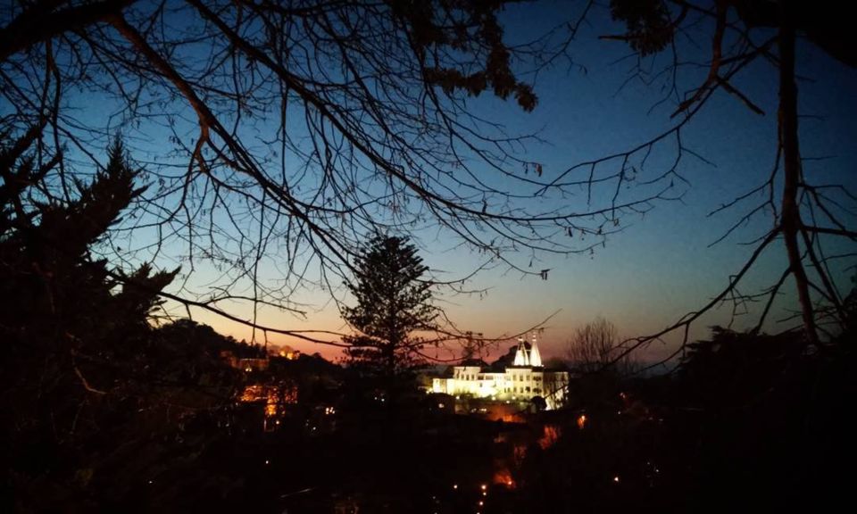 Private Sintra Night Walk: Dreams in the Woods - Experience Highlights