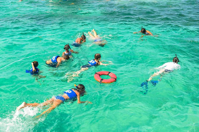 Private Snorkeling in Punta Cana - Tour Operator and Ratings