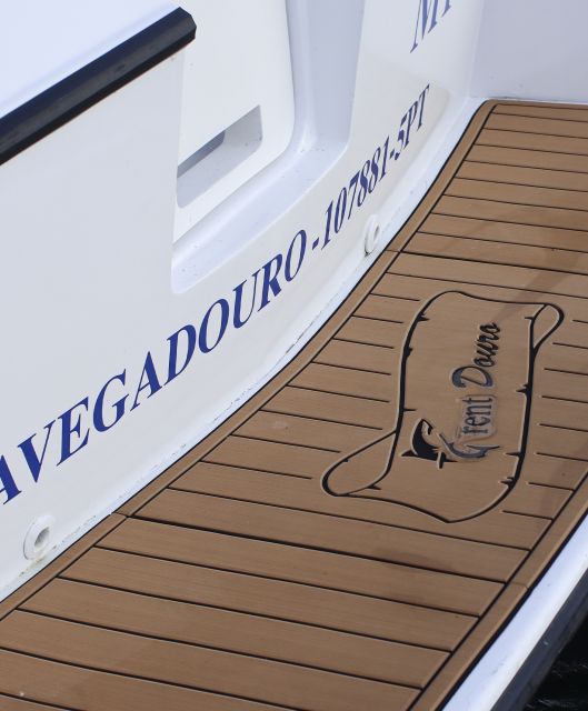 Private Speedboat Tour on the Douro River - Boat Specifications