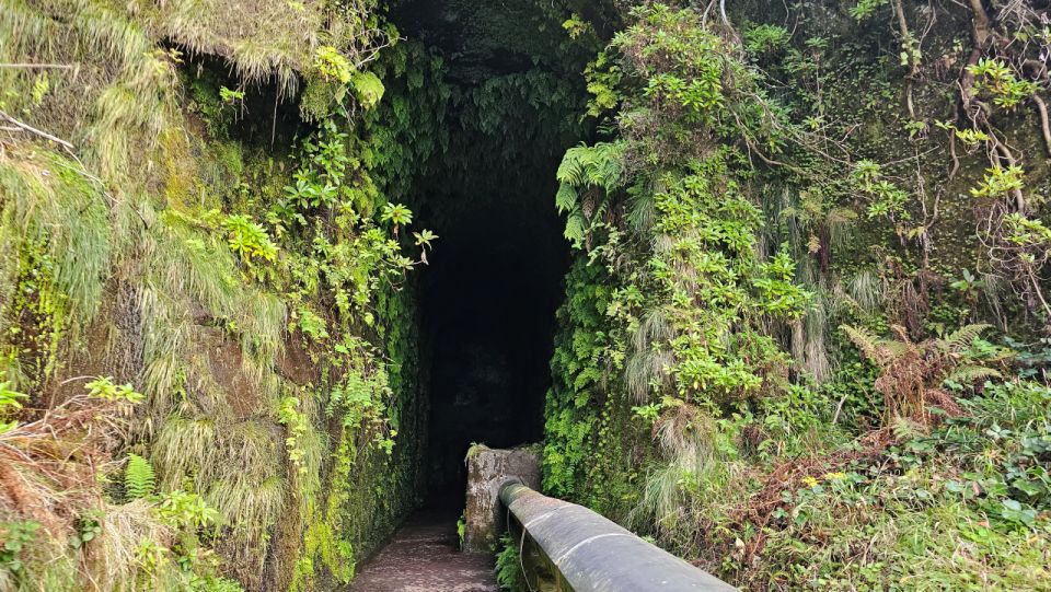 Private Tour: 25 Fontes Levada Hike - Highlights of the Hike