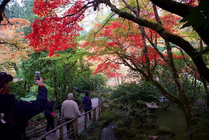 Private Tour Countryside Roads to Butchart Gardens & City - 5 Hrs - Visiting Butchart Gardens