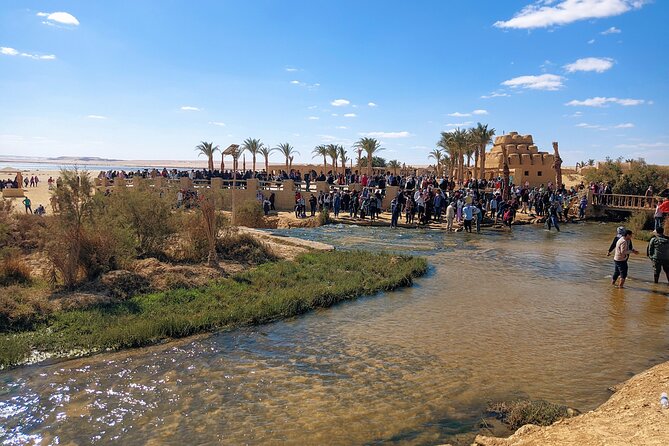 Private Tour El Fayoum Oasis and Wadi Rayan Waterfall From Cairo - Inclusions