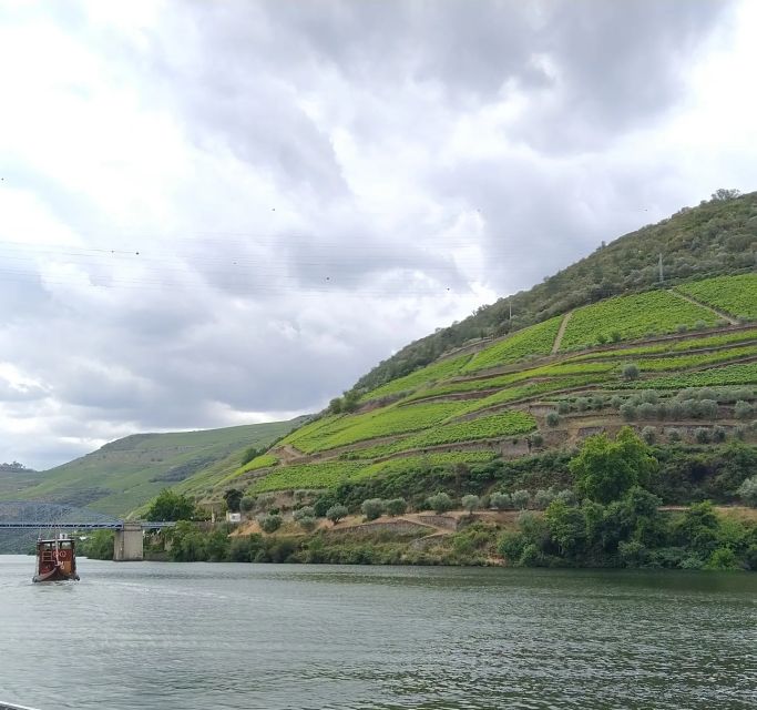 Private Tour of the Douro - Scenic N222 Road