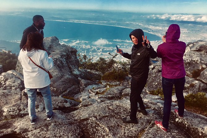 Private Tour: Table Mountain, Penguin Colony & Cape of Good Hope Incl. Park Fees - Optional Activities