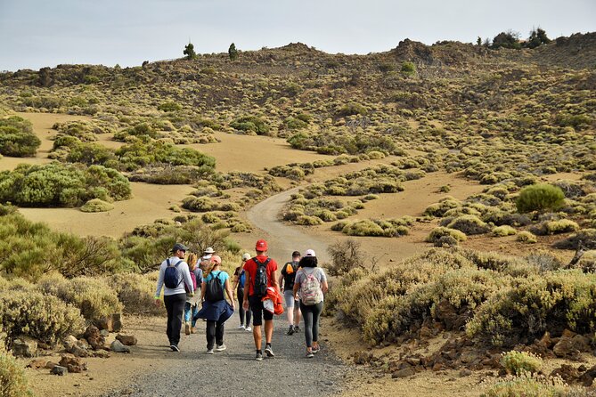 PRIVATE TOUR Teide National Park: Hiking and Stargazing - Cancellation Policy