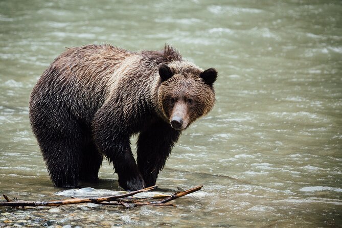 Private Tour: The Best of Banff National Park - Full Day - Park Admission and Fees