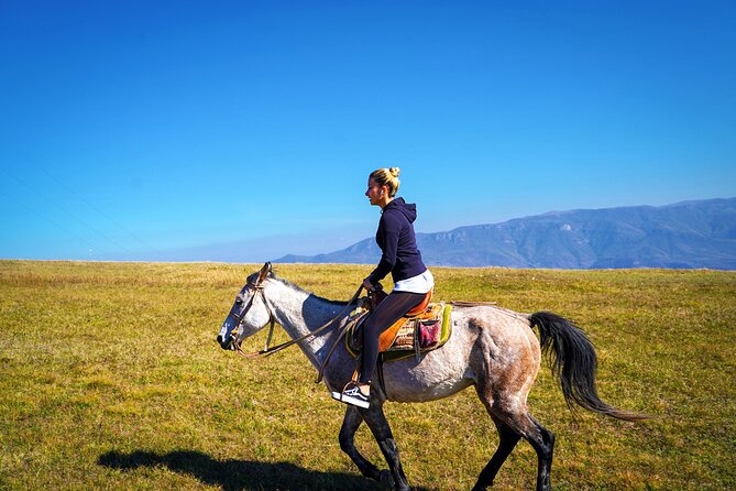 Private Tour to Dilijan Town, Yenokavan - Active Rest in Yell Extreme Park - Inclusions