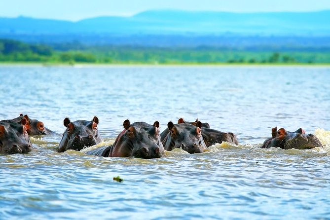 Private Tour to Mount Longonot and Optional Boat Ride on Lake Naivasha - Inclusions