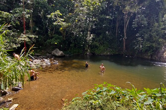 Private Tour to Pristine Swimming Hole In Puerto Rico Jungle - Health Considerations