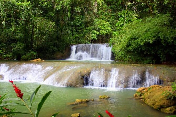 Private Tour to YS Falls, Appleton Rum Tour and Pelican Bar From Montego Bay - Participant Requirements