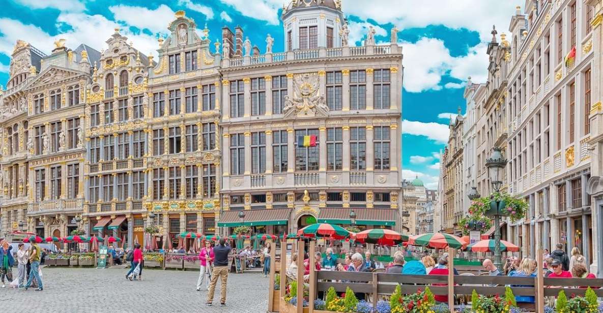 Private Transfer From Amsterdam to Brussels - Vehicle Options