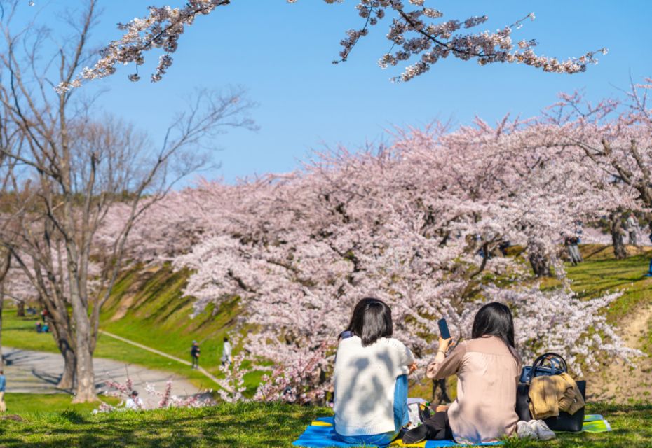 Private & Unique Nagasaki Cherry Blossom Sakura Experience - Booking Information