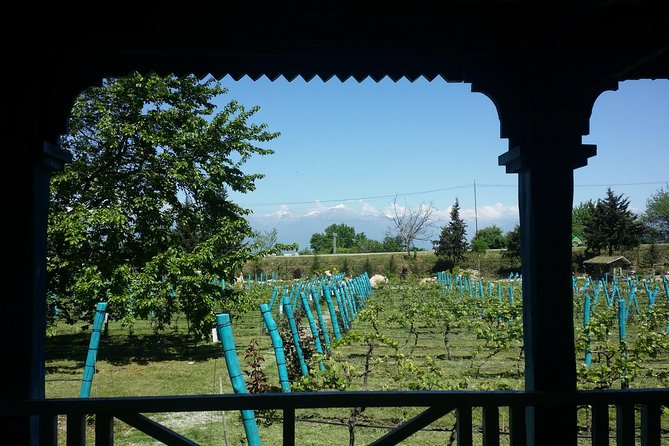 Private Wine Tour to Kakheti From Tbilisi - Schedule and Logistics