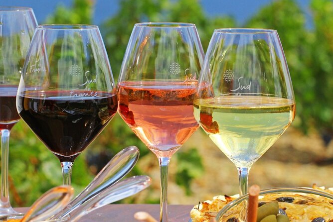 Provence Organic Wine Tasting Half Day Tour From Nice - Winery Visit and Tasting