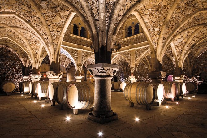 Provence Wine Tour - Private Day Tour From Cannes - Inclusions of the Private Tour