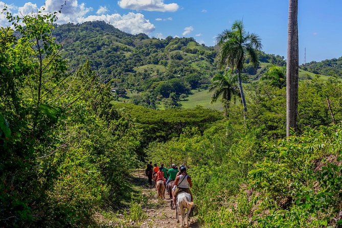 Puerto Plata: Damajagua Waterfalls + Safari Buggy + Horseback Riding (Top3in1) - Pickup Information