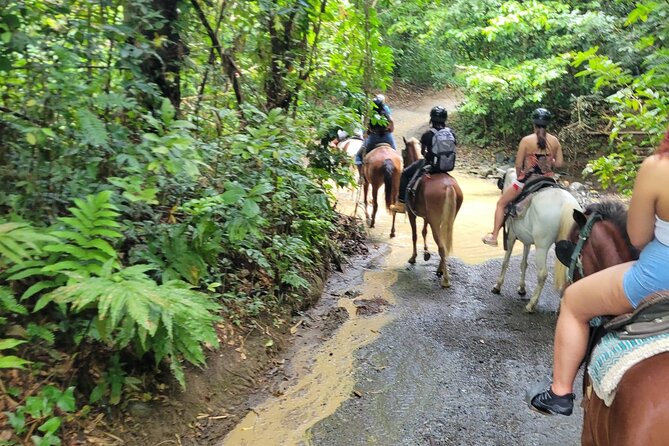 Puerto Rico Beach Horseback Riding Guided Tour - Transportation and Logistics